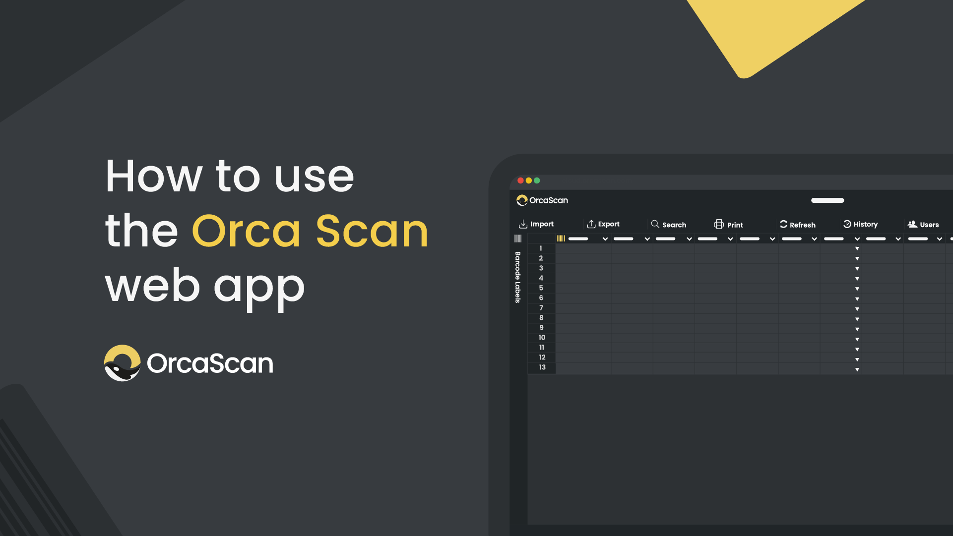 How to use the Orca Scan web app