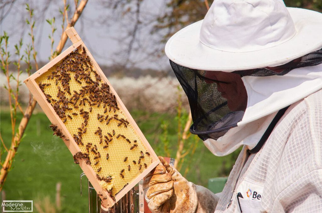How a bee farm uses Orca Scan to grow