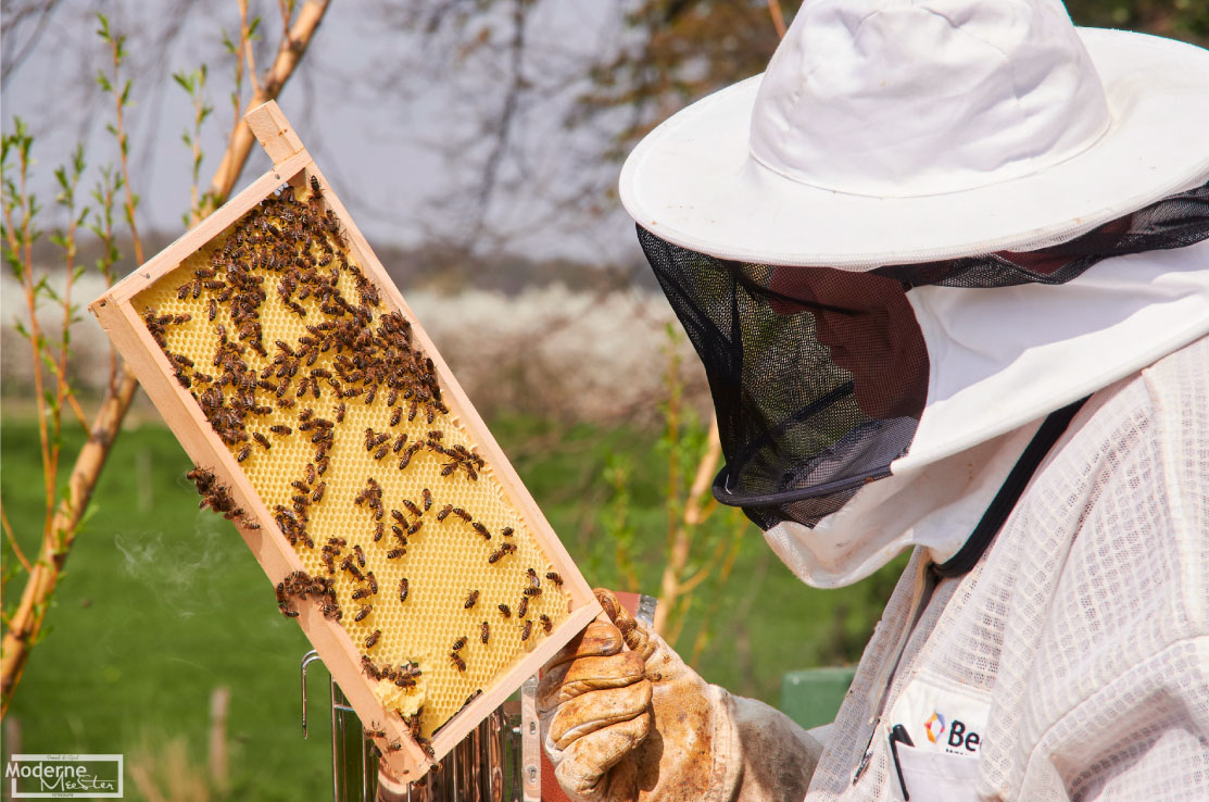 How a bee farm uses Orca Scan to grow