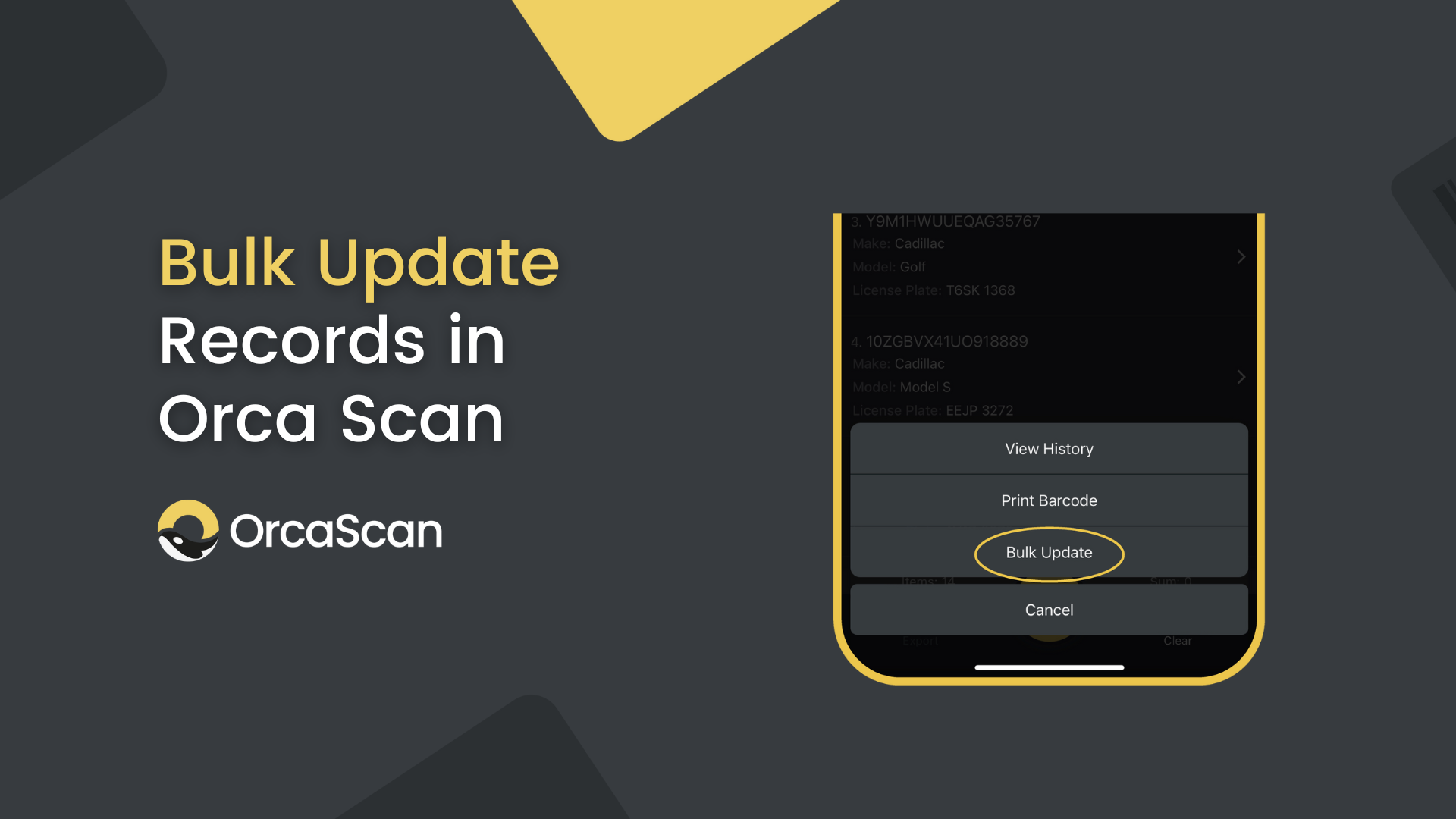 Bulk Update Records in Orca Scan