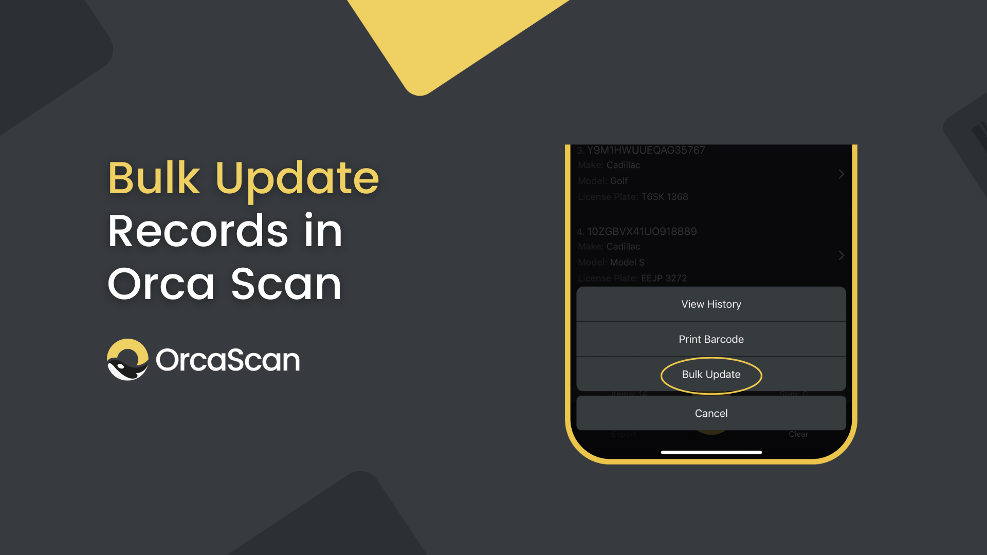 Bulk Update Records in Orca Scan: A Step-by-Step Guide