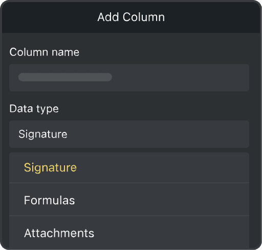 Custom Fields